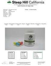 Load image into Gallery viewer, CBD Gummy Bear 310mg