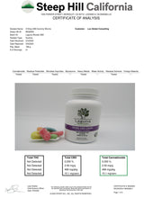 Load image into Gallery viewer, CBD Gummy Worms 310mg