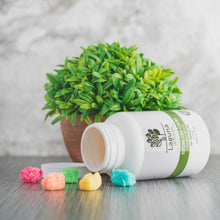 Load image into Gallery viewer, CBD Gummy Bear 1050mg