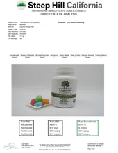 Load image into Gallery viewer, CBD Gummy Worms 1050mg
