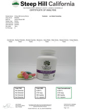 Load image into Gallery viewer, CBD Gummy Worms 310mg
